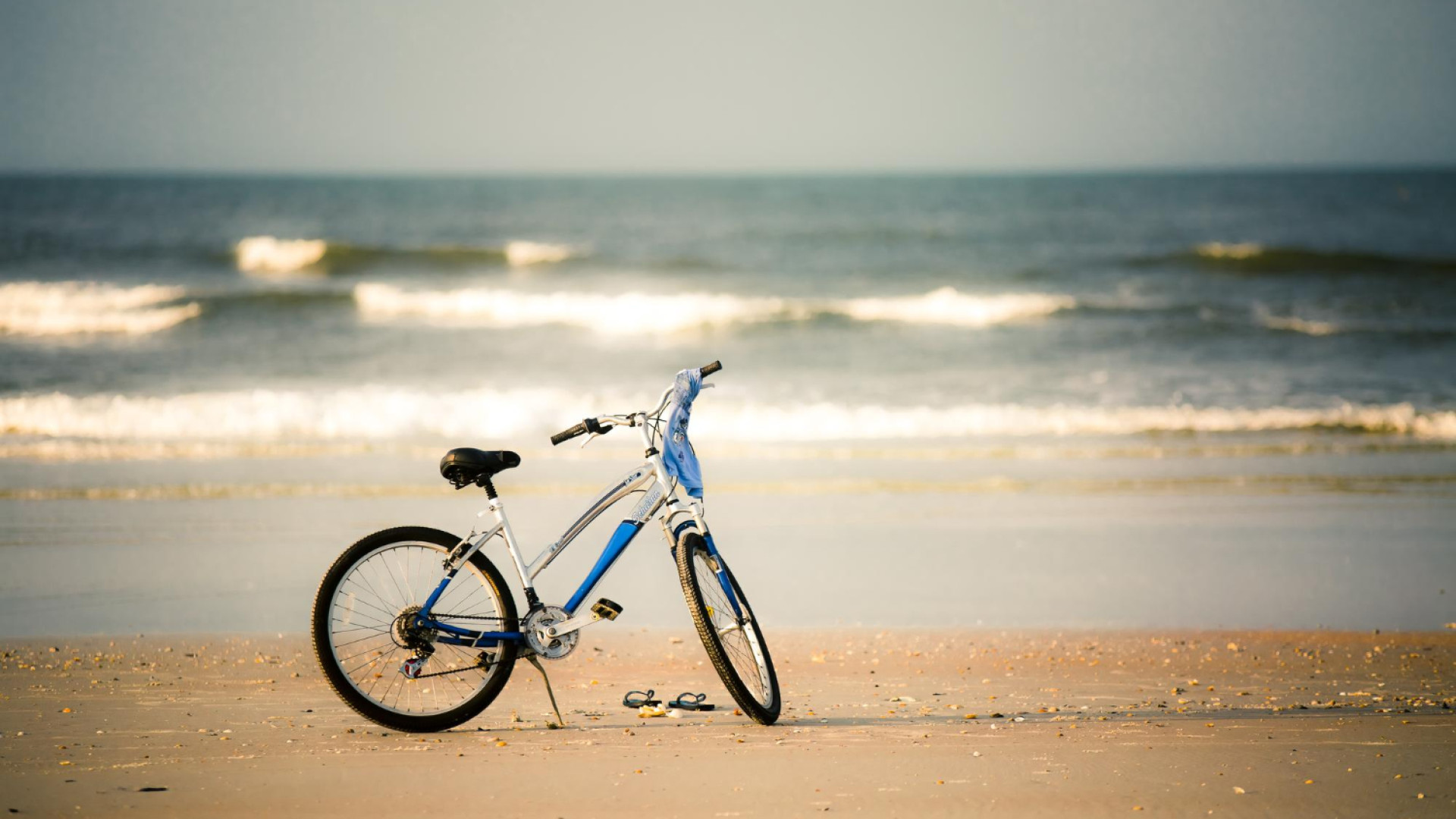 À la découverte des huîtres d’Oléron : un circuit vélo gourmand entre nature et saveurs