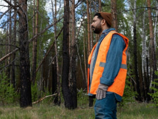 Gilet de chasse haute visibilité : pourquoi c’est indispensable ?