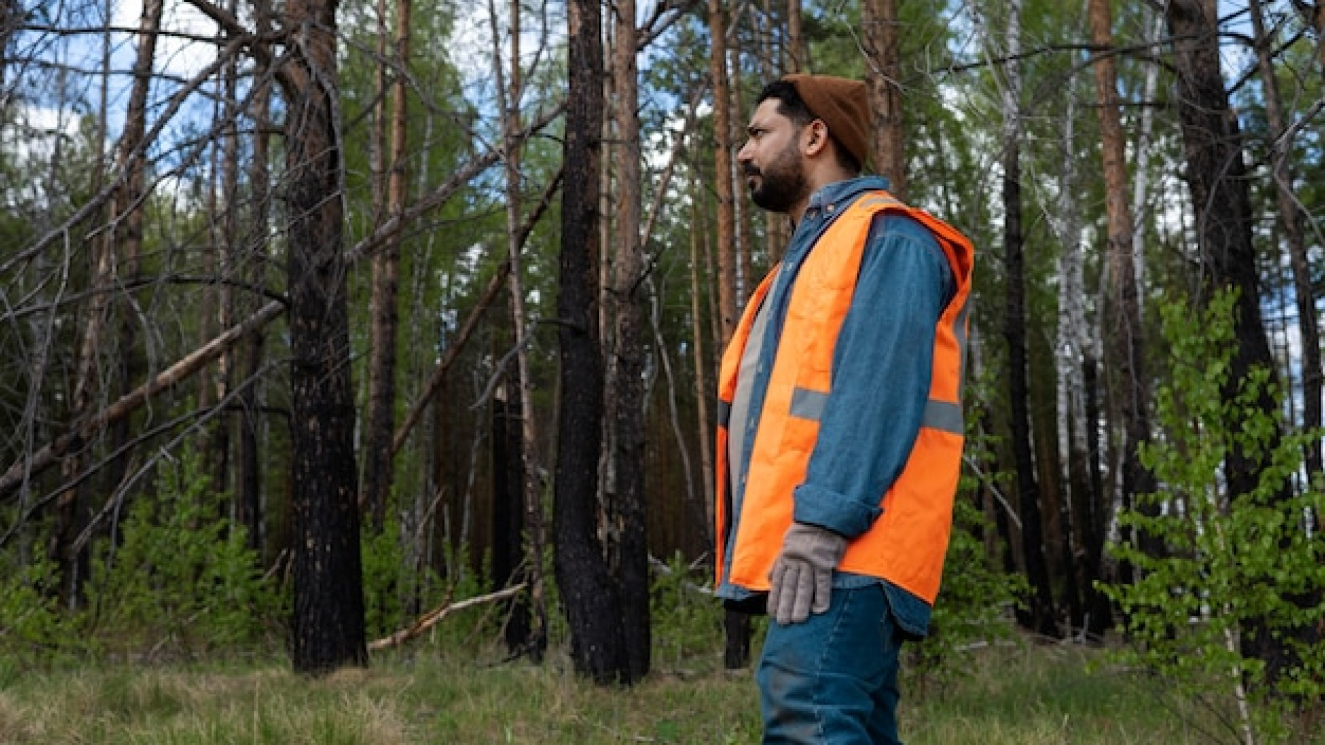 Gilet de chasse haute visibilité : pourquoi c’est indispensable ?